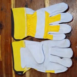 gloves